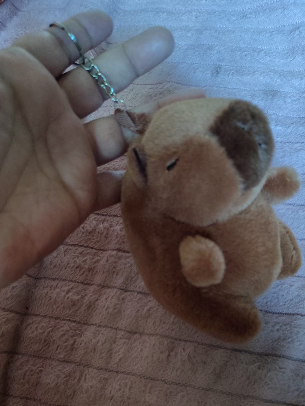 Capybara Keychain 4'